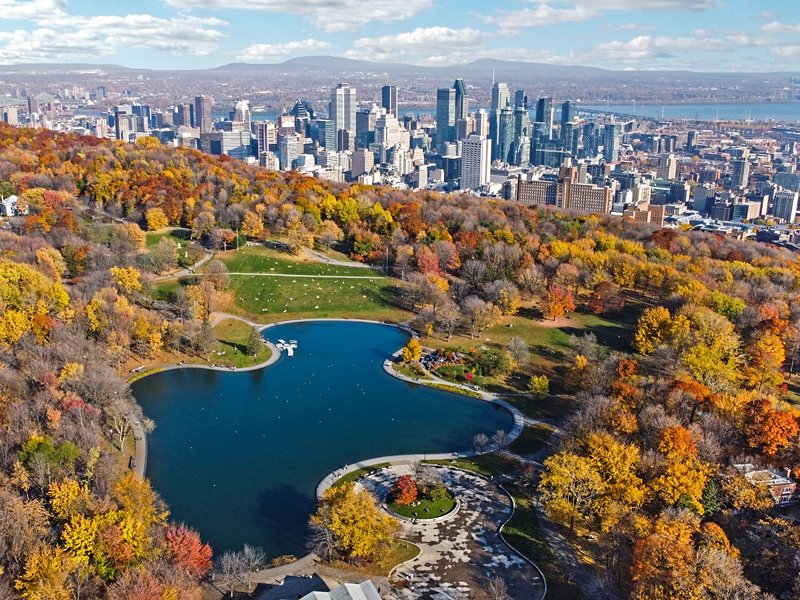 Le parc du Mont-Royal