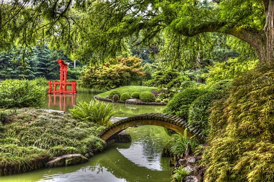 Jardin botanique de New York
