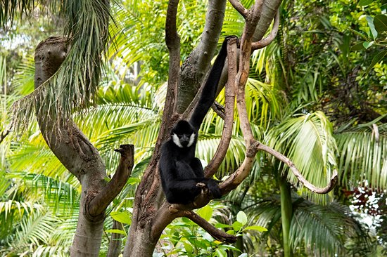 Nam Et-Phou Louey National Park