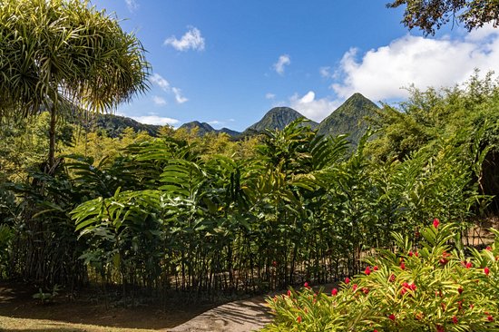 Pitons du Carbet