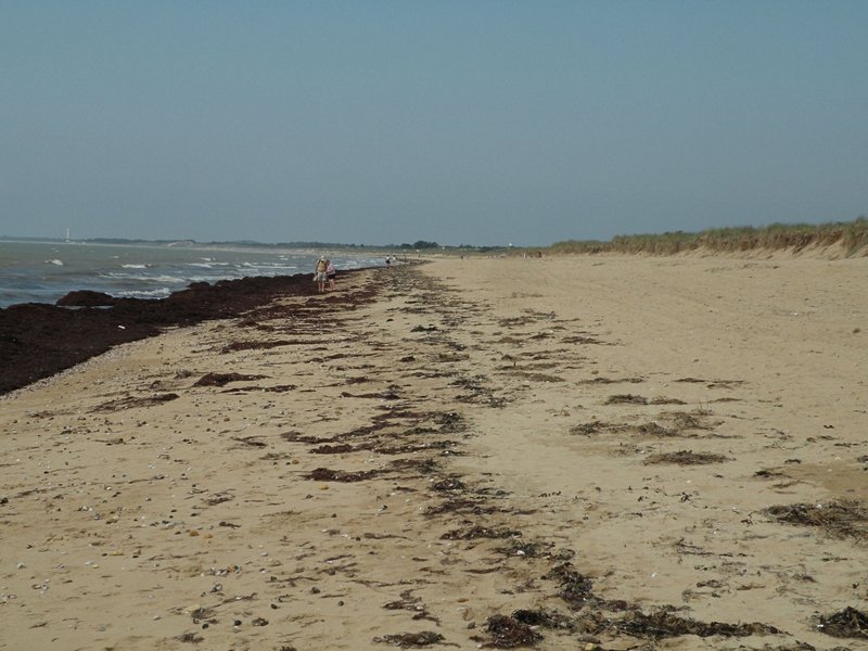 La plage du Bois Soret