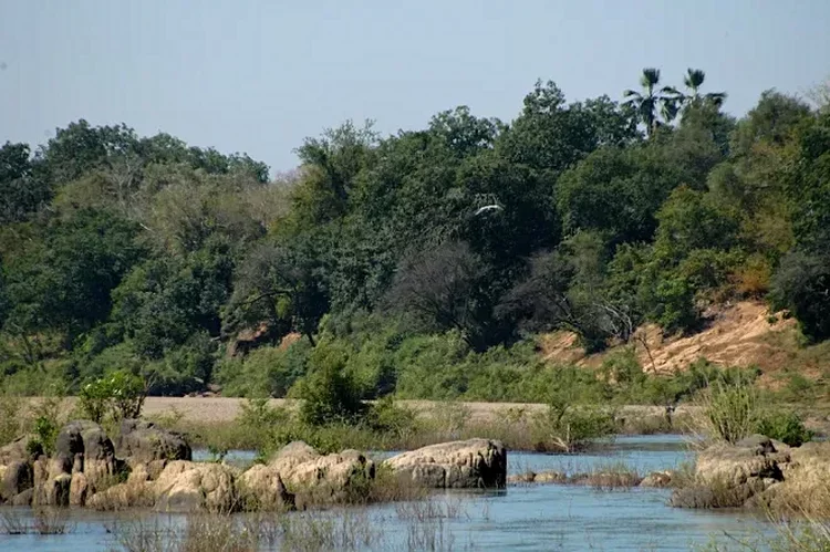 Le parc national du Badiar