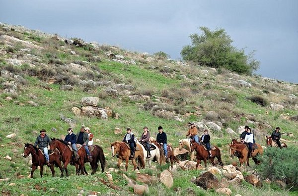 Faire du cheval sur le plateau du Golan