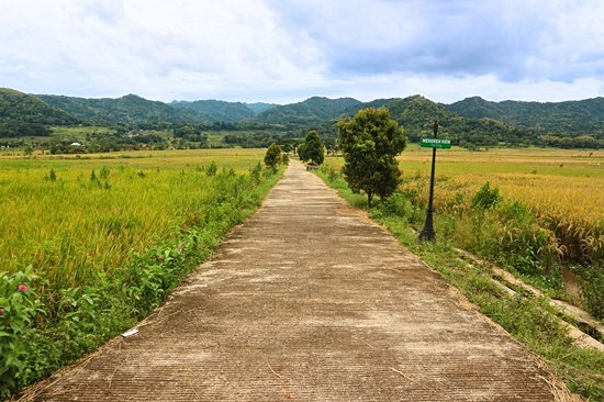 Autour de Yogyakarta (Java)