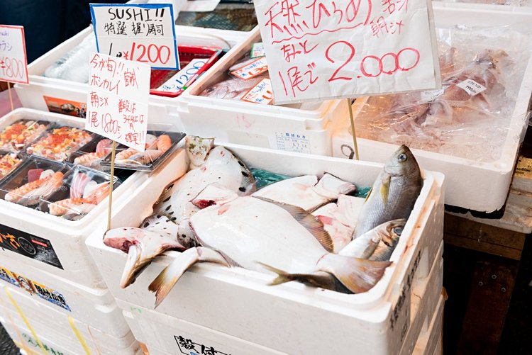 Marché aux poissons - Tokyo, Japon 2