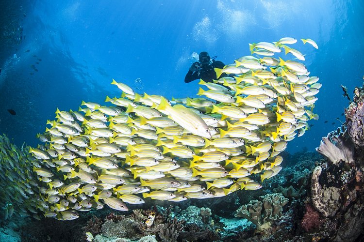 12. Raja Ampat en Indonésie
