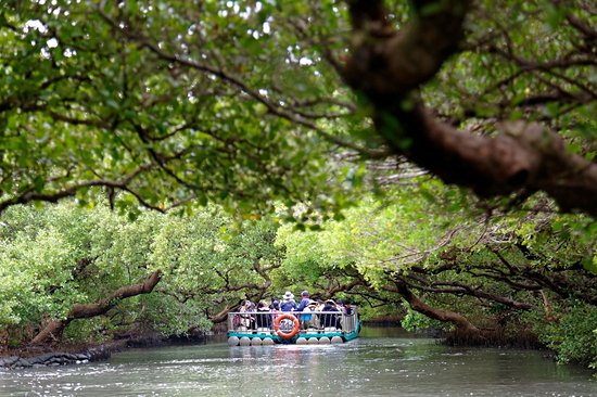 Parc national de Taijiang