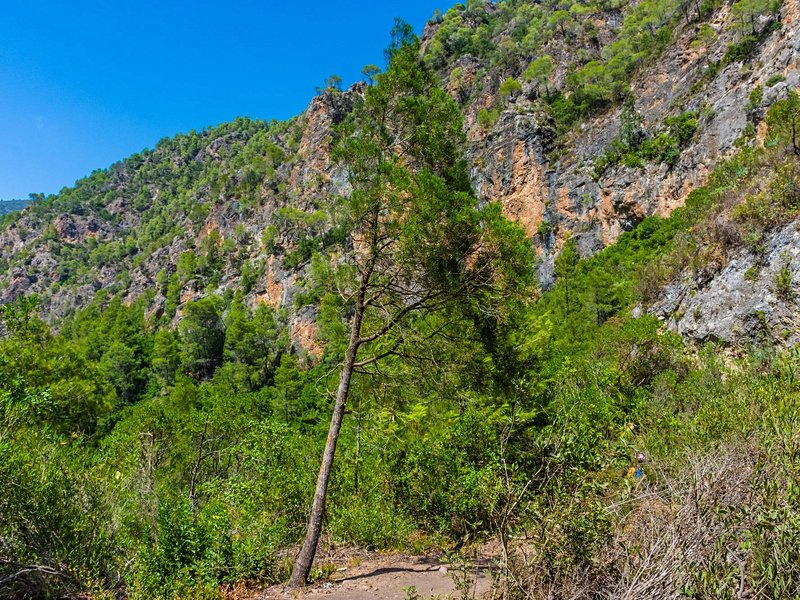Parc national de Talassemtane