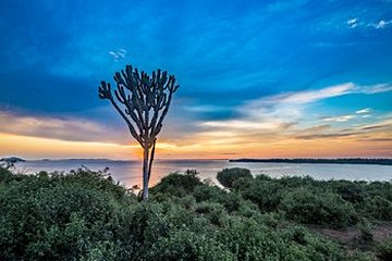 Lac Victoria