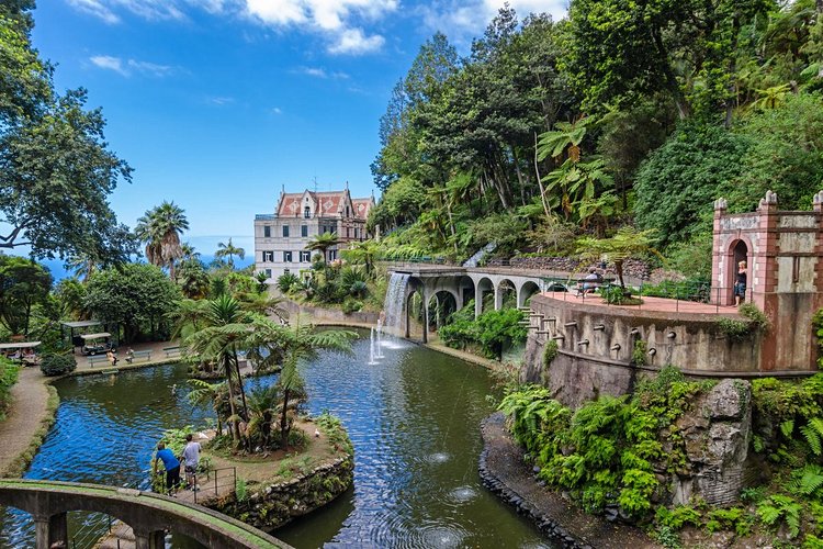 Explorer les éclatants Jardins tropicaux de Monte Palace 2