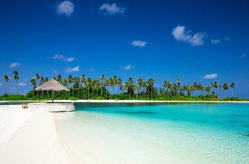 Prendre des bains de soleil au milieu des lagons