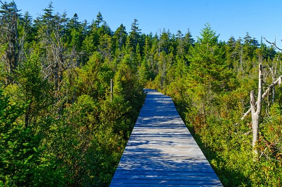 Parc national Fundy
