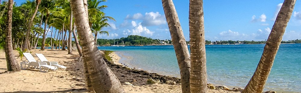 La plage de Bois-Jolan à Sainte-Anne