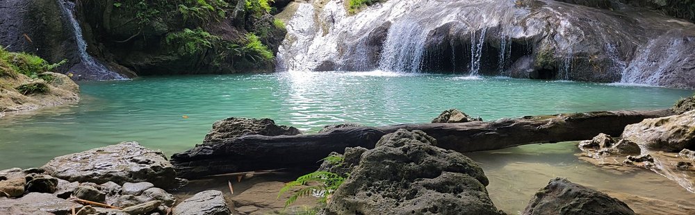 Kawasan Falls