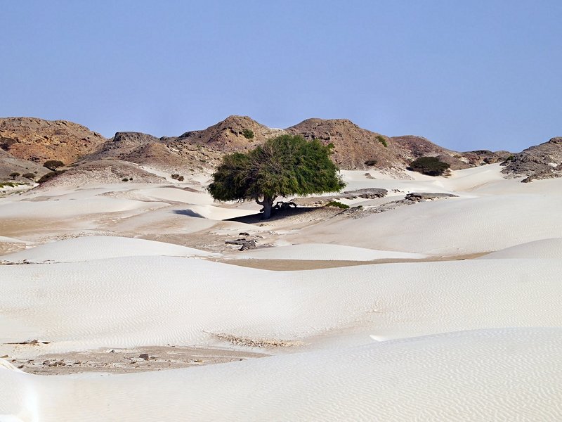 Désert d'Al Khaluf