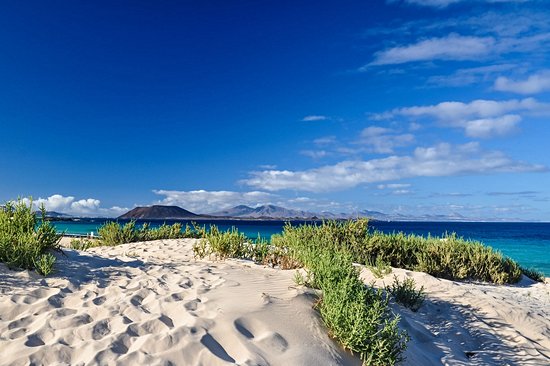 Parc des dunes de Corralejo