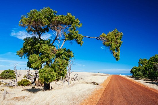 Cape Naturaliste