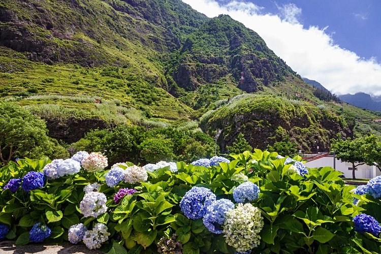 Quelle est la meilleure période pour visiter Madère et ses fleurs ? 2