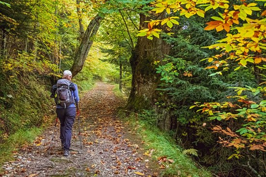 Parc national de la Forêt Casentinesi