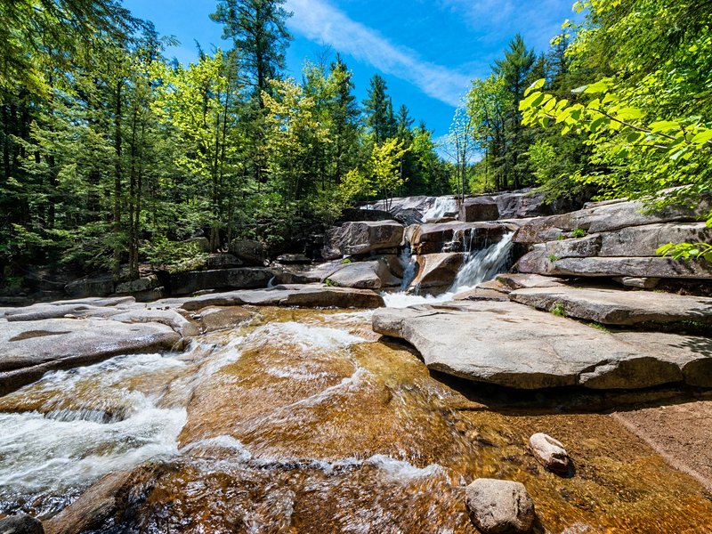 White Mountains national forest