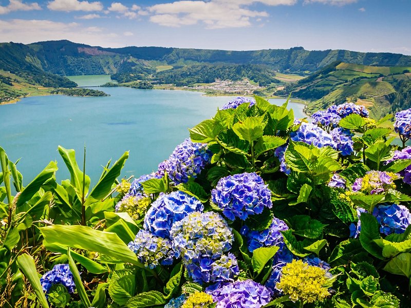 L'île de Flores