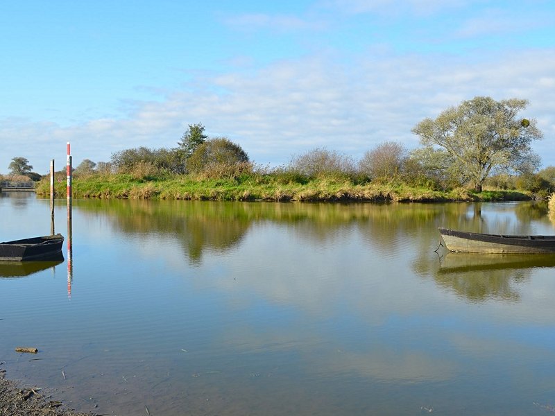 Le lac de Grand-Lieu