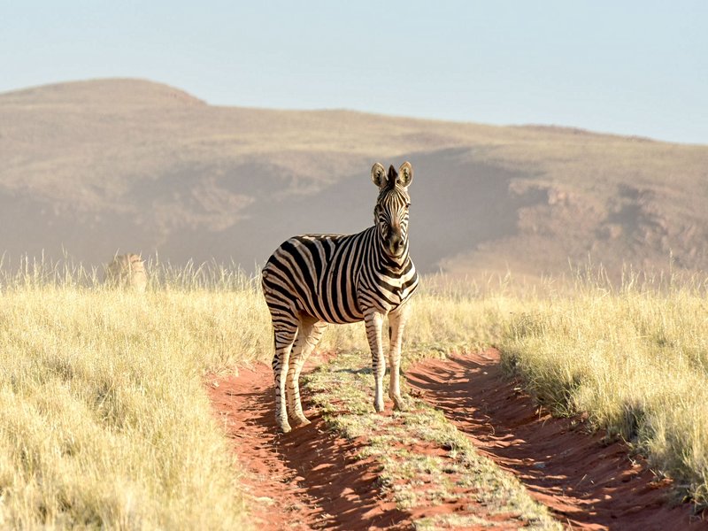 NamibRand Nature Reserve