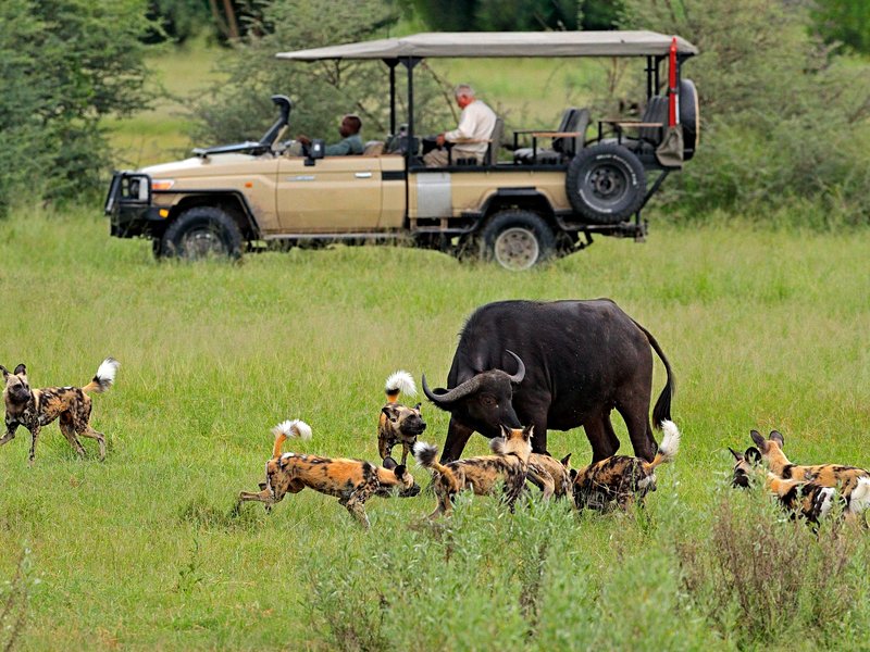Moremi Game Reserve