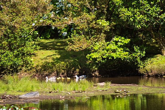 Lagoa das Patas