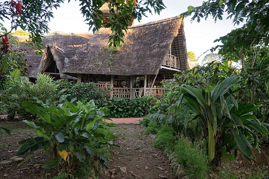Amazonie