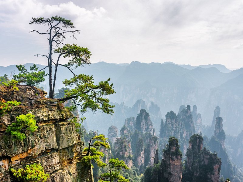 Parc national de Zhangjiajie