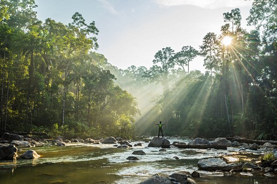 Parc national d'Endau-Rompin