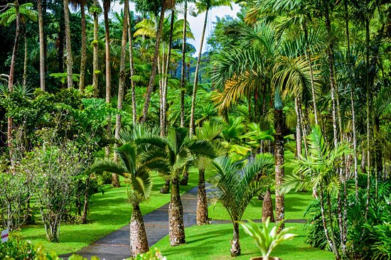 Jardin de Balata