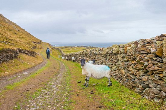 Île d'Inishbofin