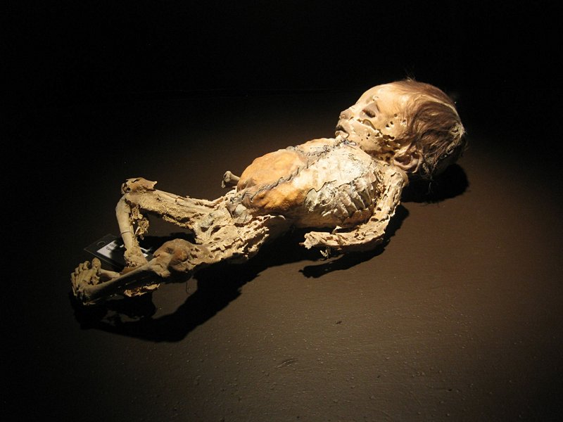 Le musée des Momies