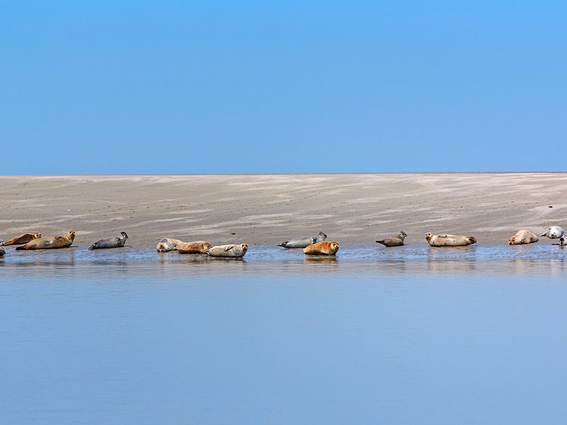 La Baie de Somme