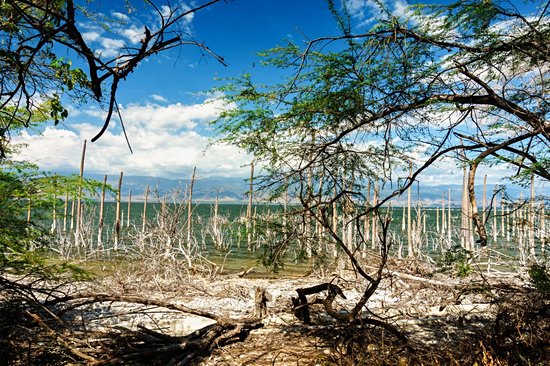 Lac Enriquillo