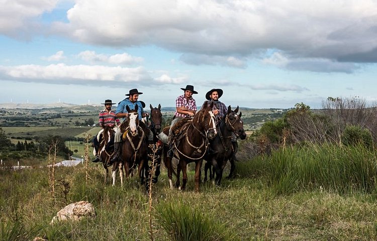 Gauchos dans la région de Minas