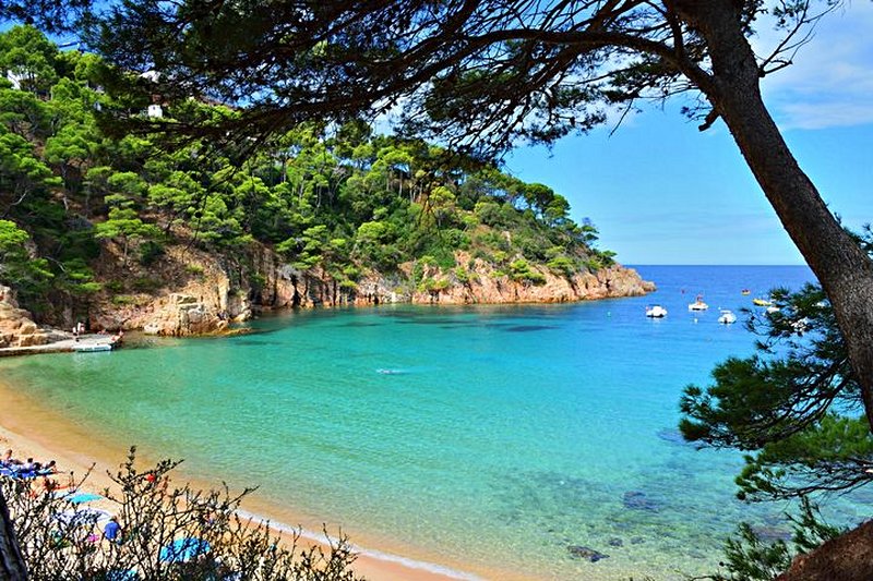 plage La cala Aiguablava à Begur