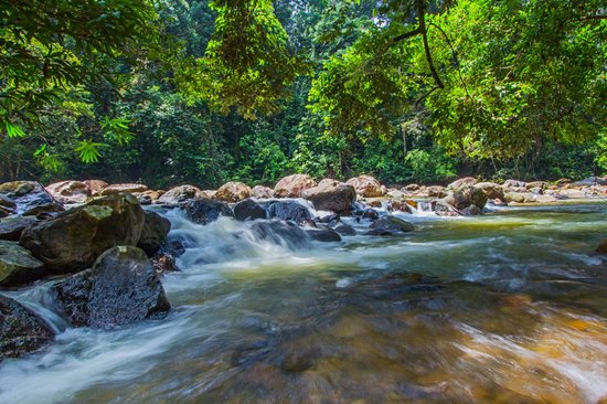 Parc national d'Endau-Rompin