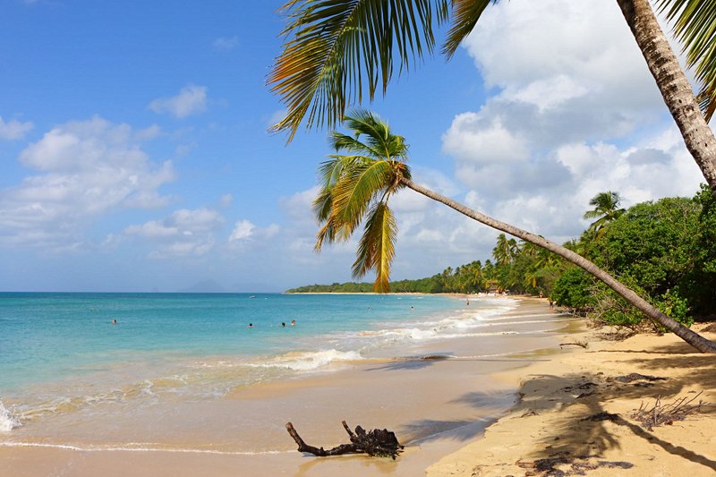 plage La plage de la Grande Anse des Salines