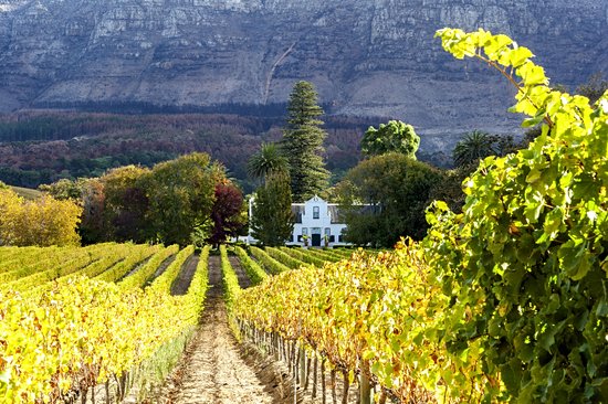 La route des Vins du Cap