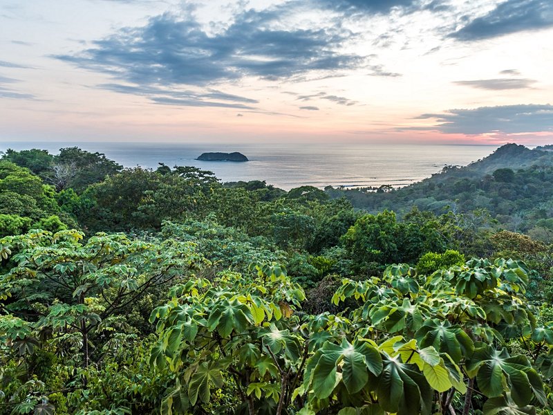 Le Parque Nacional Manuel Antonio