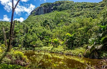 Le parc national du Morne Seychellois