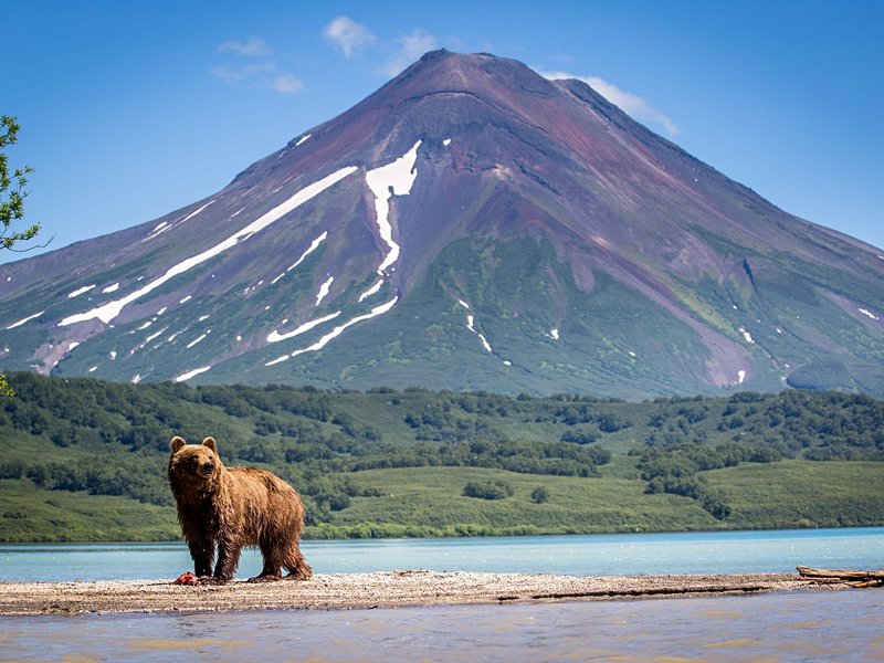 Le Kamtchatka