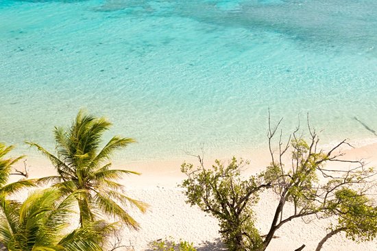 Malcapuya Island