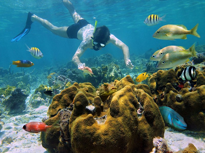 L'île de Cozumel en excursion snorkeling