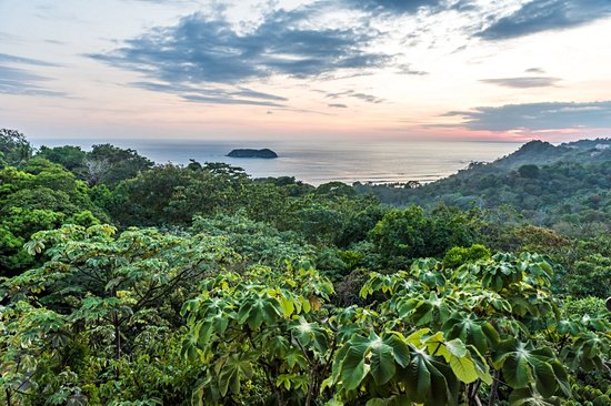 Le Parque Nacional Manuel Antonio