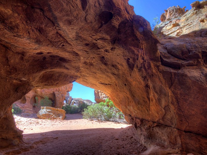 Réserve naturelle du Cederberg