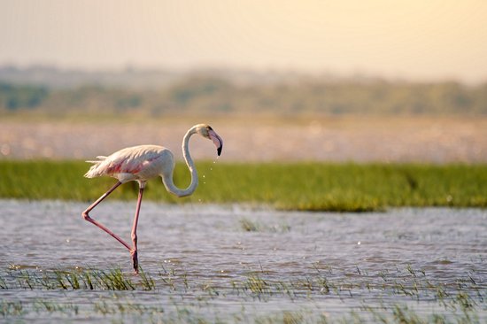 Le Parc naturel d’iSimangaliso et Sainte Lucie